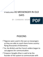 Pigeons As Messenger in Old Days