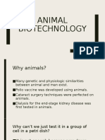 Animal Bio