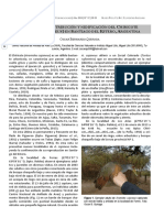 Aportes A La Distribución y Nidificacion Del Chiricote (Aramides Cajaneus) en Santiago Del Estero, Argentina