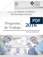 Programa 2016 PDF