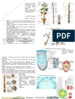 Transport Water and Solutes