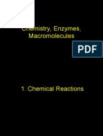 Chemistry, Enzymes, Macromolecules
