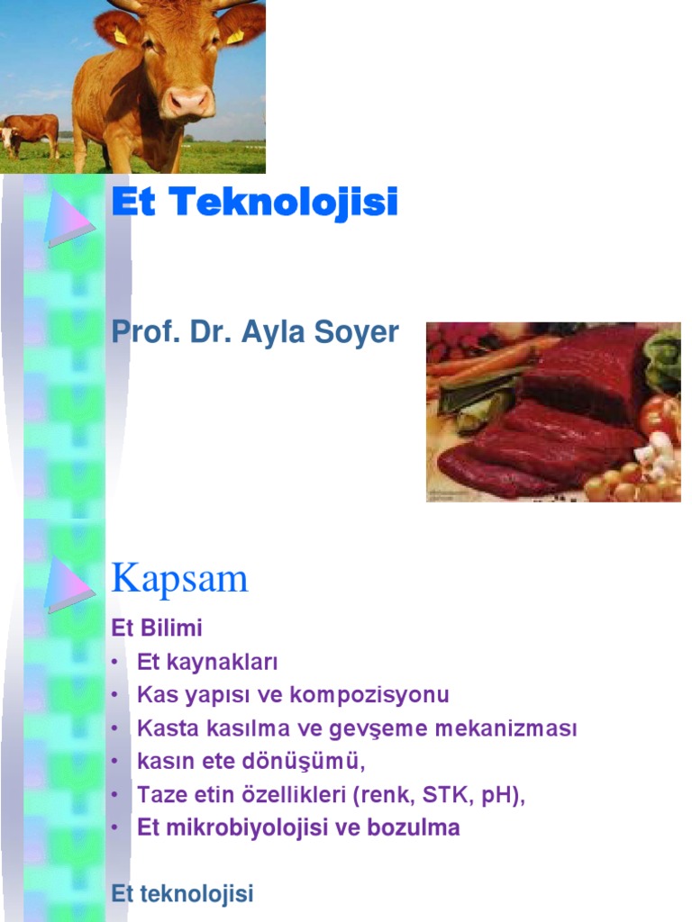 Et Teknolojisi Prof. Dr. Ayla Soyer