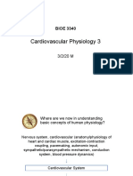 Cardiovascular Physiology 3: BIOE 3340