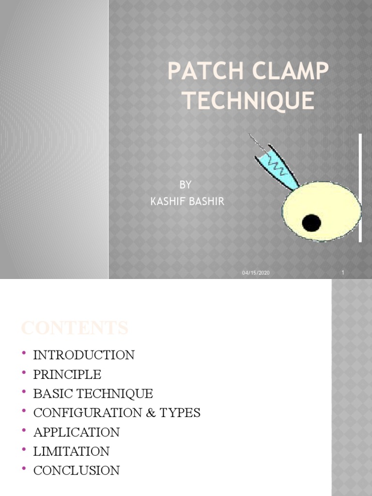 Patch Clamp Technique BY Kashif Bashir PDF Neurophysiology