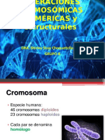 389964007-II-Alteraciones-cromosomicas-numericas-ppt