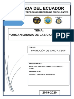 Organigrama de las Capitanías menores y mayores de Ecuador