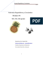 T4 Patrones Repetitivos y Crecienres II PDF