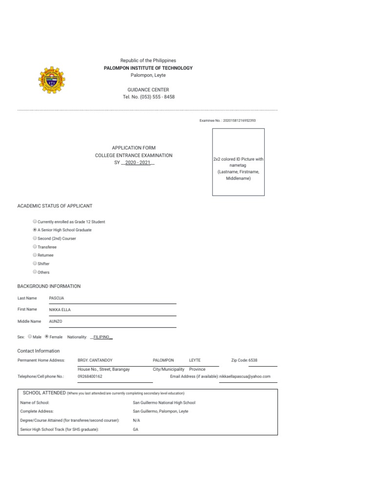PIT Application Form PDF | PDF | University And College Admission ...