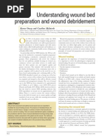 D.I.M.E.S. Wound Care Protocol Overview | PDF | Wound | Clinical Medicine