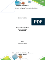 Informe de Laboratorio - Química Orgánica