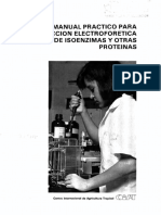 Yuca PDF