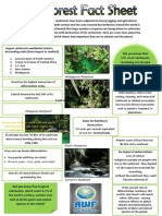 Rainforest Fact Sheet-Merged