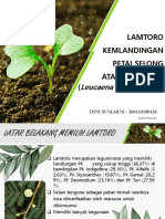 Dini Sumarni - 200110180128 - LAMTORO PDF