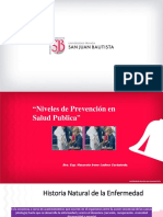 Niveles de Prevencion Upsjb 3-PDF - 20200319171655