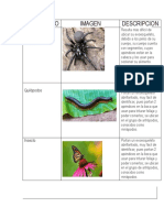 Antropodo - Biologia