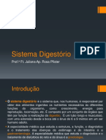 (13) SISTEMA DIGESTÓRIO 24 11 2014.pdf