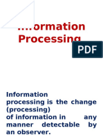 Information Prcessing