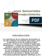 Órganos Sensoriales y Envejecimiento