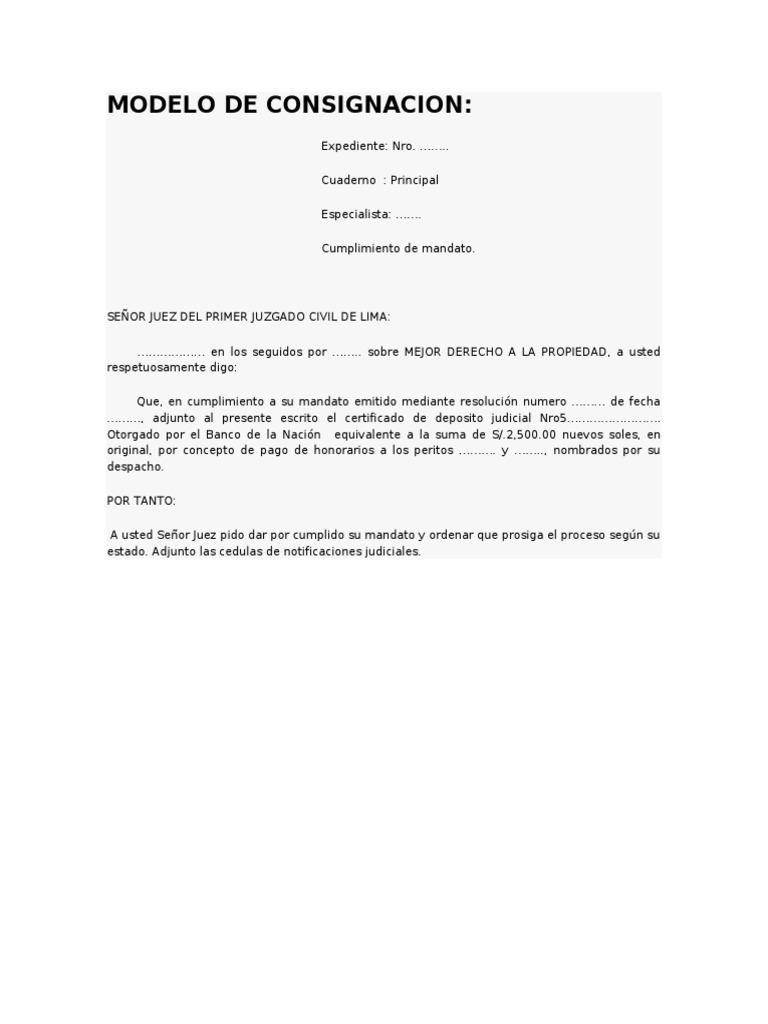Modelo de Consignacion | PDF
