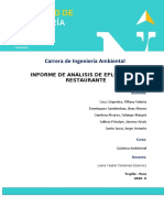 Informe Analisis de Efluente de Restaurante