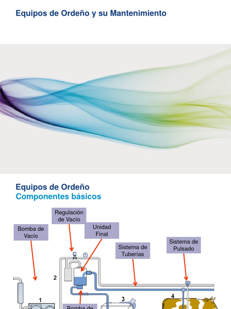 Planos y Proceso de Ordeño Eficiente | PDF | Vacas | Leche