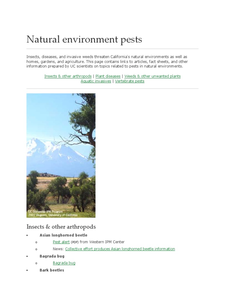 Managing Hama Insects in California | PDF | Invasive Species | Pesticide