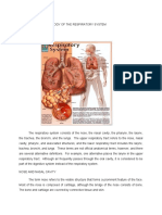 Anatomy and Physiology of The Respiratory System
