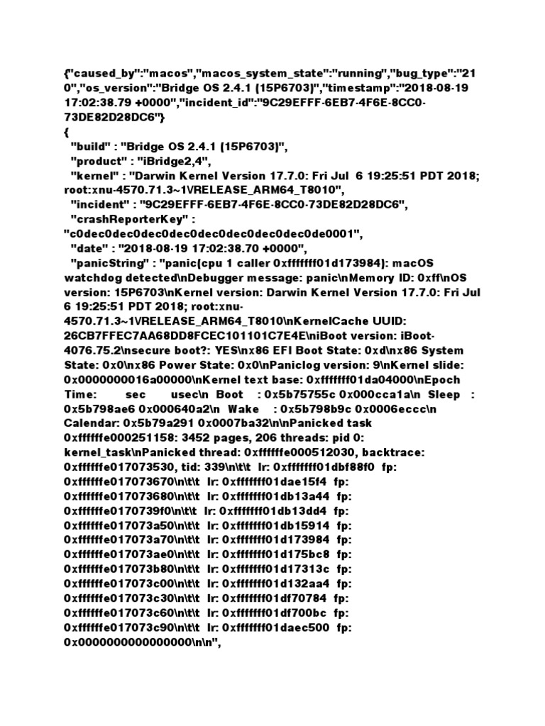 CrashReport 081918 | PDF | Computer Architecture | Office Equipment