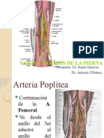 Vasos y Nervios de La Pierna