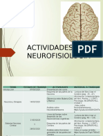 Actividades neurofisiología: Neurona, memoria, cerebro