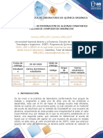 Informe 1 - Química Orgánica