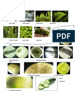 Botani 1 Lam-Digabungkan PDF