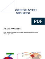 Patogenesis Nyeri Nosisepsi