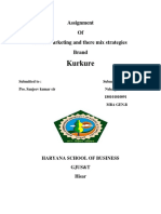 Assignment KURKURE PDF