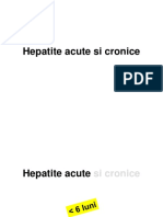 4.Hepatite_FMAM_2015.pdf