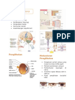 Panca Indera dan Mekanisme Kerjanya