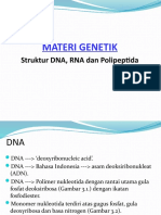 DNA, RNA, dan Protein