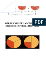 tortek2.pdf