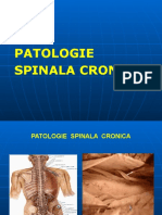 PATOLOGIE SPINALA CRONICA.pptx