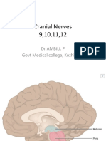 Last 4 Cranial Nerves Summary
