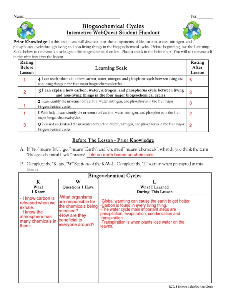 biogeochemical cycles assignment answer key