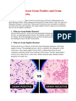 Difference between Gram Positive and Gram.docx