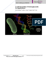 The Supramolecular Self-Assembly of Aminoglycoside