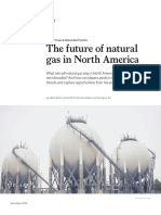 The-future-of-natural-gas-in-North-America-final. McKinsey 15.01.20.pdf