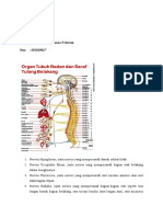 RESUME Mecthildis Trauma Spinal