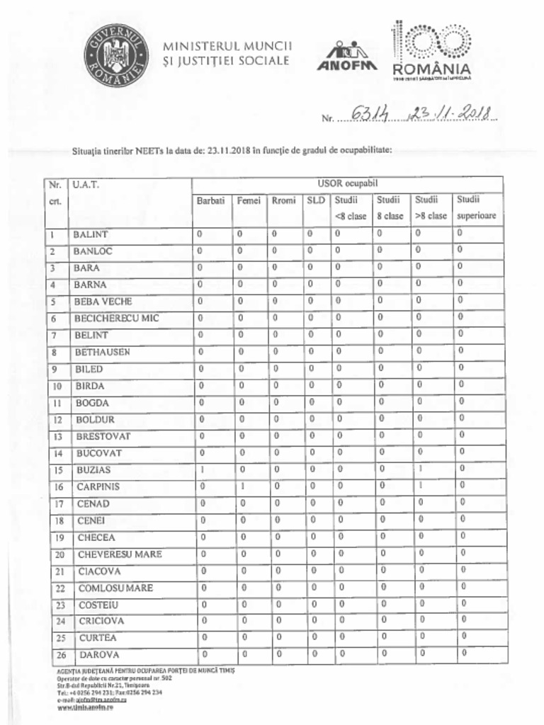 Neets Proiect 23112018