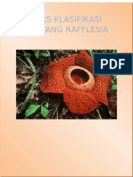 RAFFLESIA TERBESAR DI DUNIA