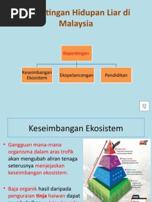 Maksud tetamu senja #PUISI SENJA