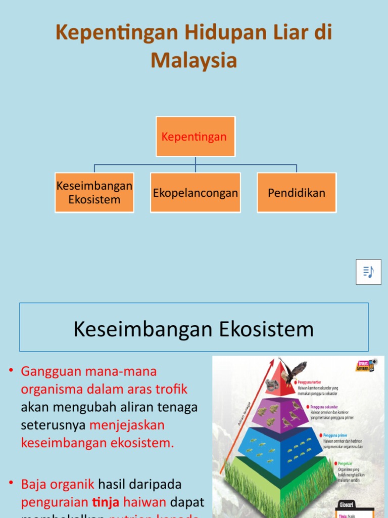 5 2 Kepentingan Hidupan Liar Di Malaysia Pdf
